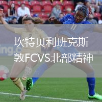 坎特貝利班克斯敦FCVS北部精神