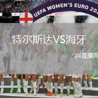 特爾斯達VS海牙