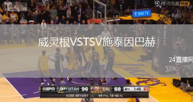威靈根VSTSV施泰因巴赫