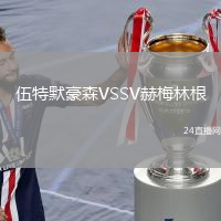 伍特默豪森VSSV赫梅林根