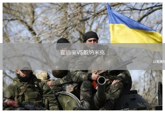 霍迪奧VS戴納米克