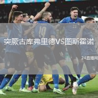 突厥古庫弗里德VS圖斯霍諾