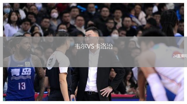 韋爾VS卡洛治