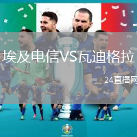 埃及電信VS瓦迪格拉