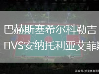 巴赫斯塞希爾科勒吉VS安納托利亞艾菲斯