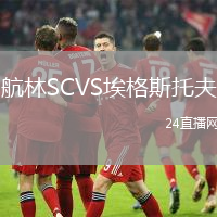 航林SCVS埃格斯托夫