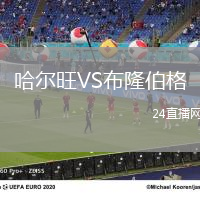 哈爾旺VS布隆伯格