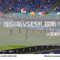 加貝斯VSES扎茲斯