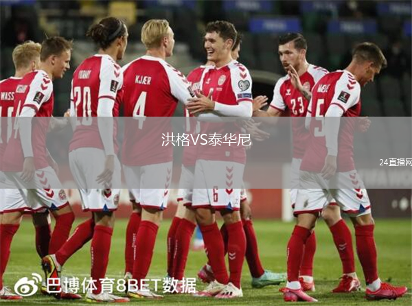 洪格VS泰華尼