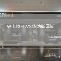 史卡拉FCVS華納斯堡斯