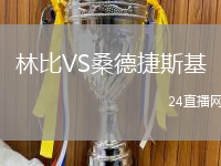 林比VS桑德捷斯基