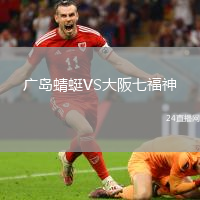 廣島蜻蜓VS大阪七福神