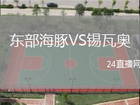 東部海豚VS錫瓦奧