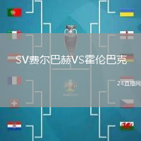 SV費(fèi)爾巴赫VS霍倫巴克