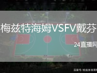 梅茲特海姆VSFV戴芬