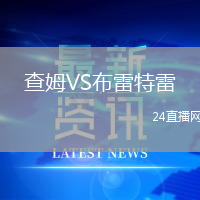 查姆VS布雷特雷
