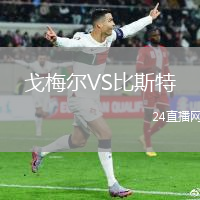 戈梅爾VS比斯特