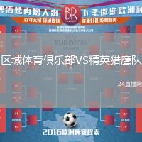 區(qū)域體育俱樂部VS精英獵鷹隊(duì)