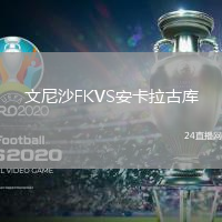 文尼沙FKVS安卡拉古庫