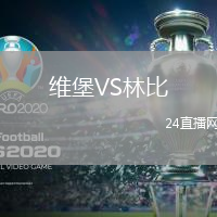 維堡VS林比