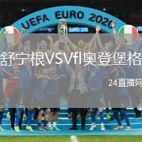 舒寧根VSVfl奧登堡格