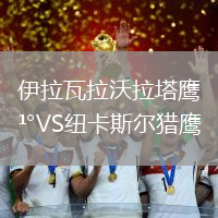 伊拉瓦拉沃拉塔鷹VS紐卡斯?fàn)柅C鷹