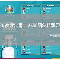 伍德維爾勇士VS斯圖爾特軍刀