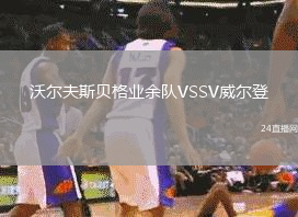 沃爾夫斯貝格業(yè)余隊(duì)VSSV威爾登