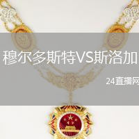 穆?tīng)柖嗨固豓S斯洛加