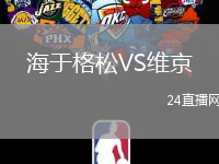 海于格松VS維京