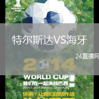 特爾斯達(dá)VS海牙