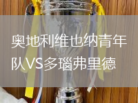 奧地利維也納青年隊(duì)VS多瑙弗里德