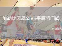 加勒比風(fēng)暴島VS平原凱門鱷