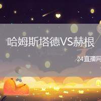 哈姆斯塔德VS赫根