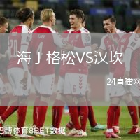 海于格松VS漢坎