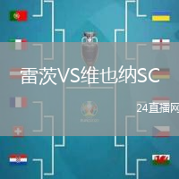 雷茨VS維也納SC