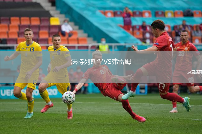法特列斯堡VS弗雷姆